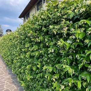 https://10-minutes-to-flight-orio-al-serio-bgy.it-lombardy.com